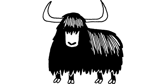 A yak.